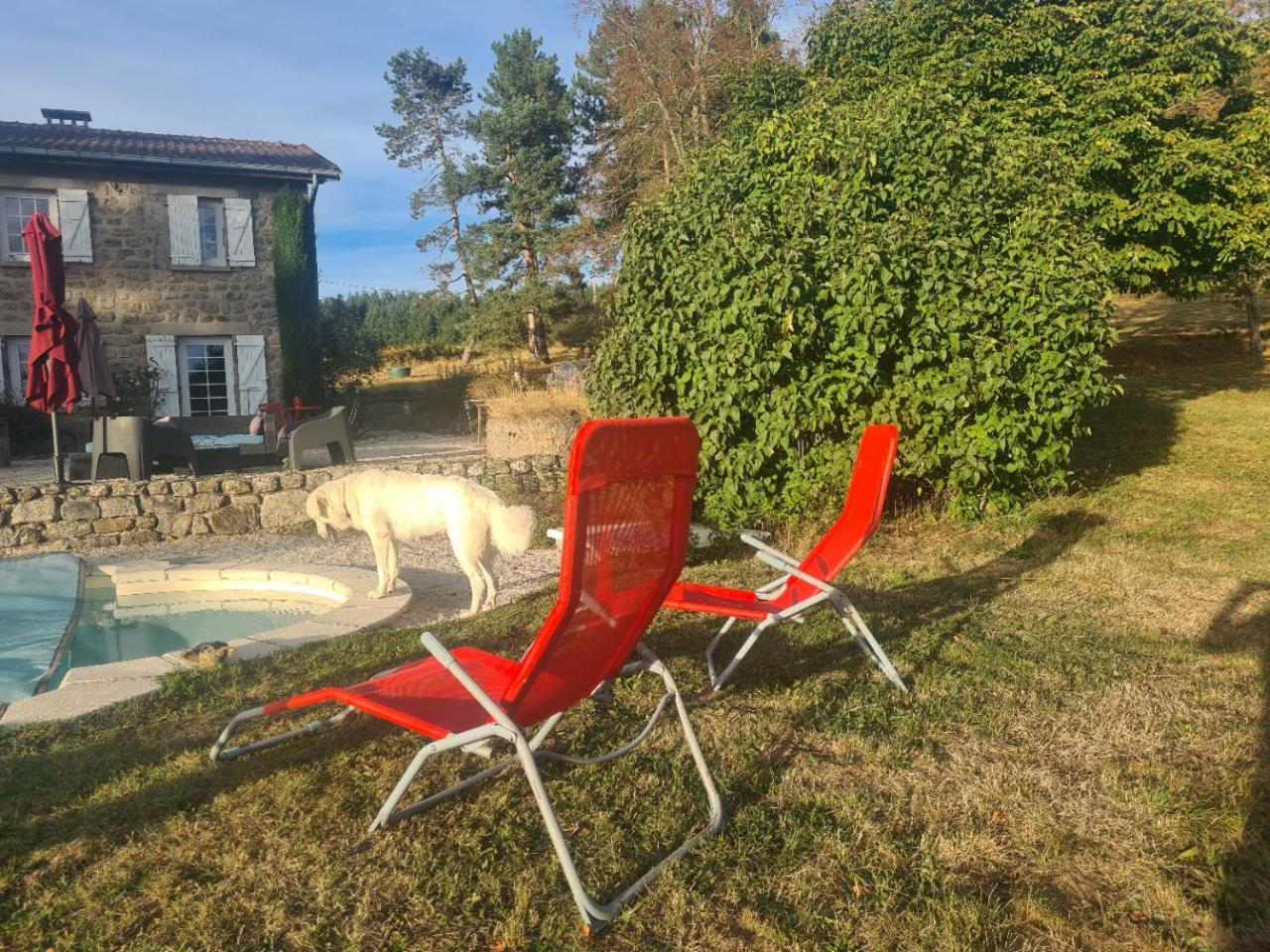 Room Lover Les Chaizes Saint-Romain-Lachalm Esterno foto